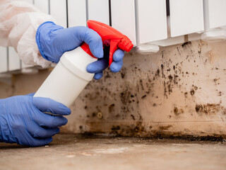 Mold Removal – How to Get Rid of Mold
