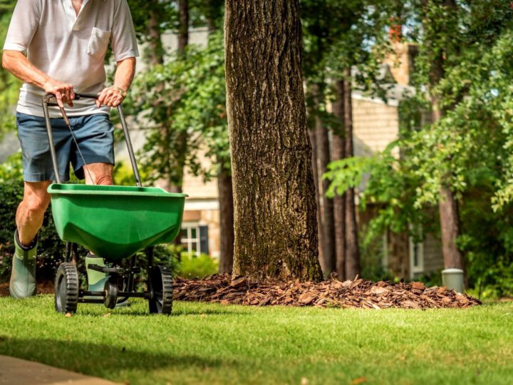 Landscaping Maintenance Enhances Curb Appeal and Increases Property Value